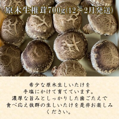 【先行受付】原木生椎茸と干し椎茸の定期便 計3回発送_2768R-2