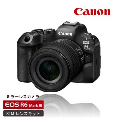 【Canon】キヤノン ミラーレス カメラ EOS R6 MarkⅢ STMレンズキット_0061C