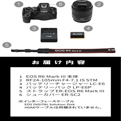 【Canon】キヤノン ミラーレス カメラ EOS R6 MarkⅢ STMレンズキット_0061C