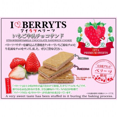 アイラブベリーツ!ベリーツチョコサンド 5箱_2783R