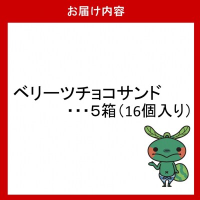 アイラブベリーツ!ベリーツチョコサンド 5箱_2783R