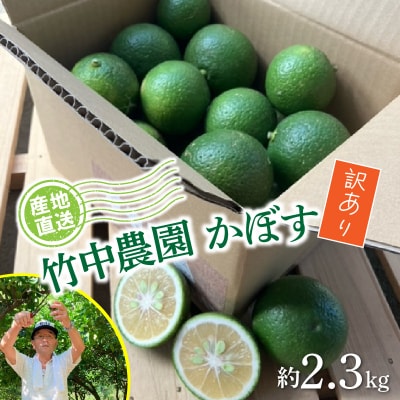 【先行受付】【訳あり】農家直送!竹中農園 かぼす 約2.3kg_2473R