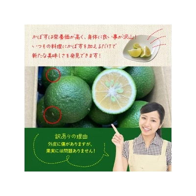 【先行受付】【訳あり】農家直送!竹中農園 かぼす 約2.3kg_2473R