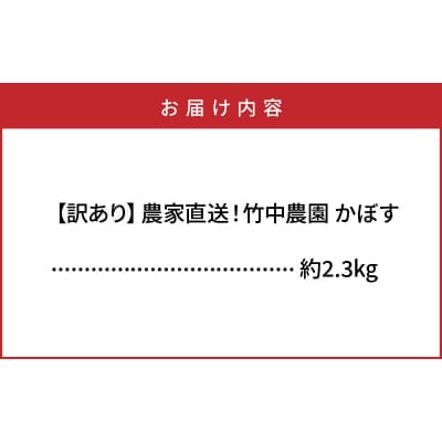 【先行受付】【訳あり】農家直送!竹中農園 かぼす 約2.3kg_2473R