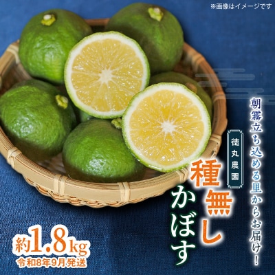 【令和8年9月発送】朝霧立ち込める里からお届け!徳丸農園 種無しかぼす約1.8kg_2177R