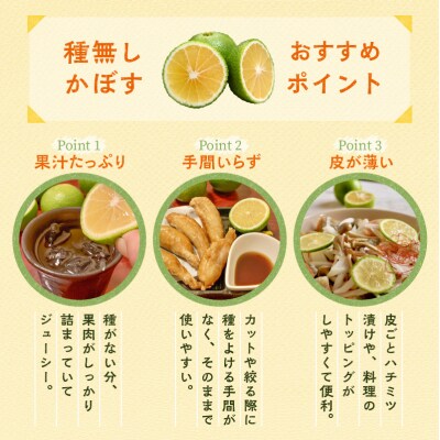 【令和8年9月発送】朝霧立ち込める里からお届け!徳丸農園 種無しかぼす約1.8kg_2177R