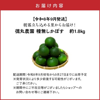 【令和8年9月発送】朝霧立ち込める里からお届け!徳丸農園 種無しかぼす約1.8kg_2177R