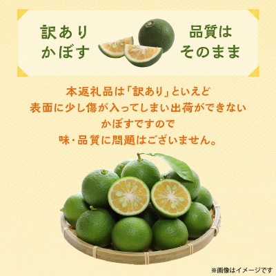 【訳あり】多少の傷あり 徳丸農園かぼす約1.9kg_2265R