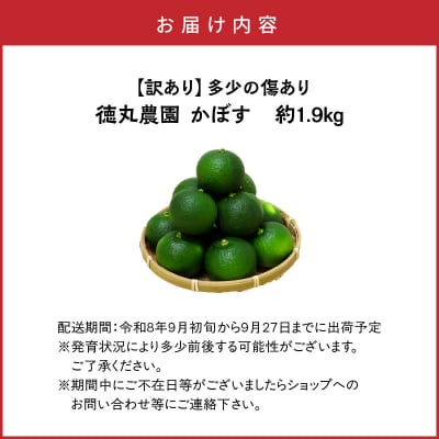 【訳あり】多少の傷あり 徳丸農園かぼす約1.9kg_2265R