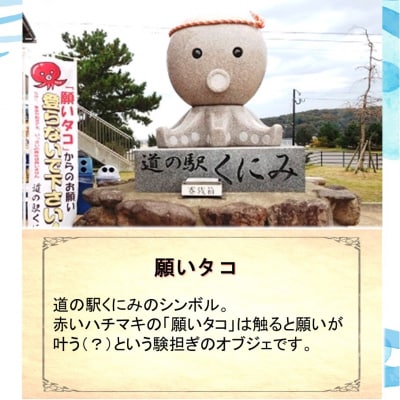 道の駅くにみの願いタコカレー2袋_2802R-1