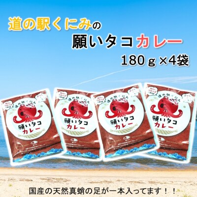 道の駅くにみの願いタコカレー4袋_2802R-2