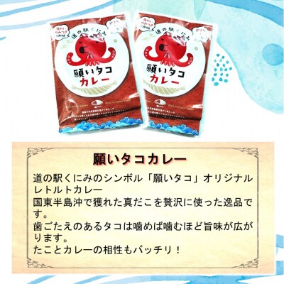 道の駅くにみの願いタコカレー4袋_2802R-2