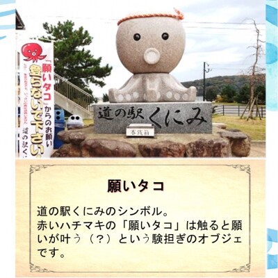 道の駅くにみの願いタコカレー4袋_2802R-2
