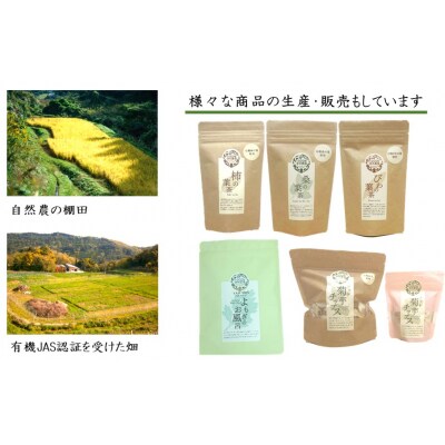 国東産「びわの実ドライフルーツ」砂糖不使用 20g×3袋_2778R
