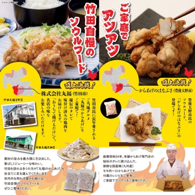 唐揚げ頂上決戦!からあげ県おおいたの名店食べ比べ定期便_2676R-11