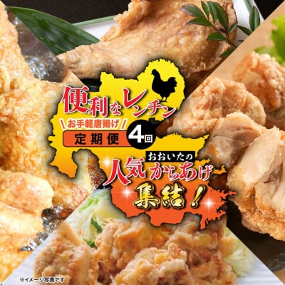 おおいたの人気からあげ集結!便利なレンチンお手軽唐揚げ定期便_2677R-11