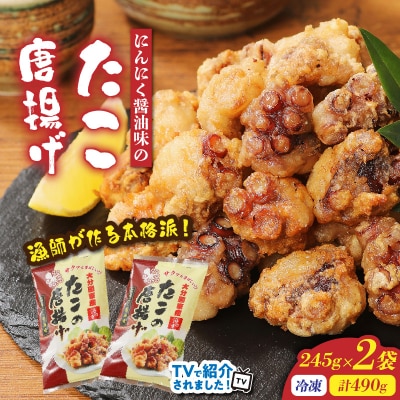 テレビで紹介されました!漁師が作る本格派!にんにく醤油味のたこ唐揚げ計490g_29241A-2
