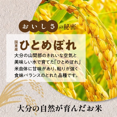 便利なチャック付き!国東産ひとめぼれ 令和8年産 新米 5kg_2826R-1