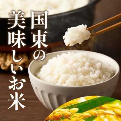 便利なチャック付き!国東産ひとめぼれ 令和8年産 新米 10kg (5kg×2袋)_2826R-2