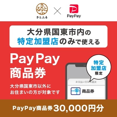 大分県国東市　PayPay商品券(30,000円分)※地域内の一部の加盟店のみで利用可