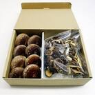肉厚　生しいたけ「香北そだち」(8個入り)と乾燥椎茸(スライス30g・丸干し40g)セット