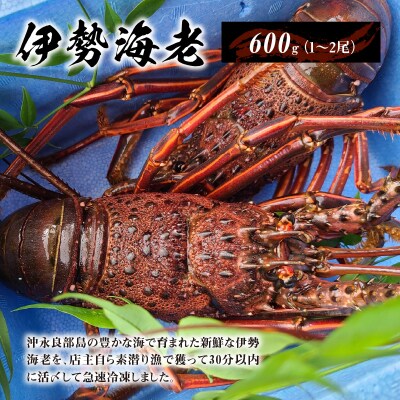 【漁師直送】活き〆冷凍　天然伊勢海老600グラム(1～2尾)