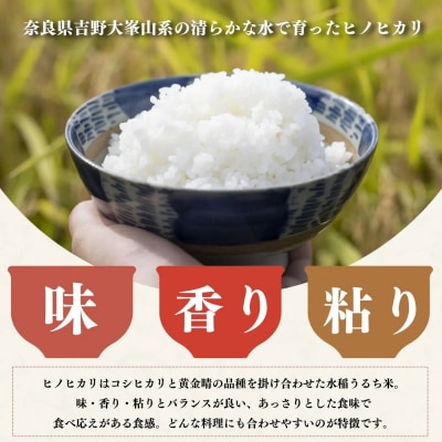 【令和7年産】【定期便】ひのひかり 奈良のお米のお届け便　5kg×半年分 (6回)