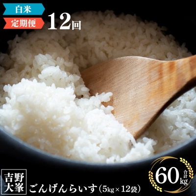 【定期便】 ひのひかり 奈良のお米のお届け便　5kg×1年分 (12回)