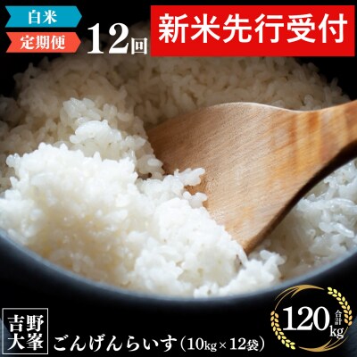 【先行受付】【定期便】ひのひかり 奈良のお米のお届け便　10kg×1年分 (12回)