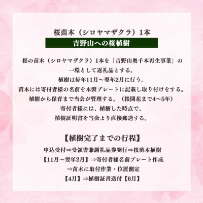桜苗木(シロヤマザクラ)1本(吉野山への桜植樹)