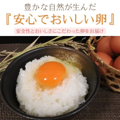 吉野こだわり卵　MICA卵1箱(25コ入×2)計50個
