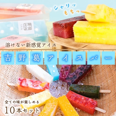 吉野葛アイスバー10本入り