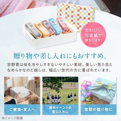吉野葛アイスバー10本入り