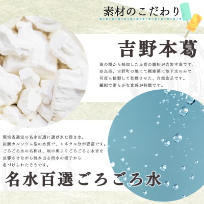 吉野葛アイスバー10本入り