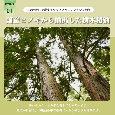 神然流　ひのきボディソープ