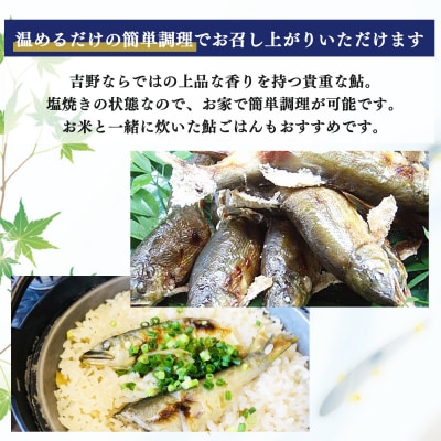 桜鮎の塩焼　6尾入