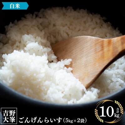 吉野大峯ごんげんらいす5kg×2袋