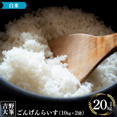 吉野大峯ごんげんらいす10kg×2袋