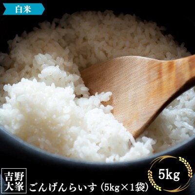 【令和7年産】吉野大峯ごんげんらいす5kg×1袋