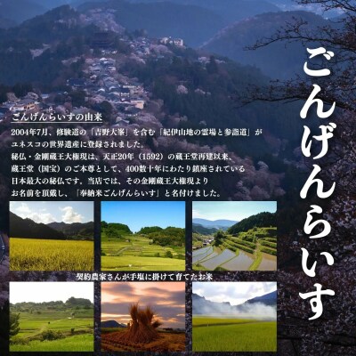 【令和7年産】吉野大峯ごんげんらいす5kg×1袋