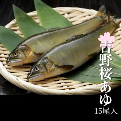 吉野桜あゆ(新鮮抜群!活〆鮎)15尾入