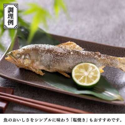 吉野桜あゆ(新鮮抜群!活〆鮎)15尾入