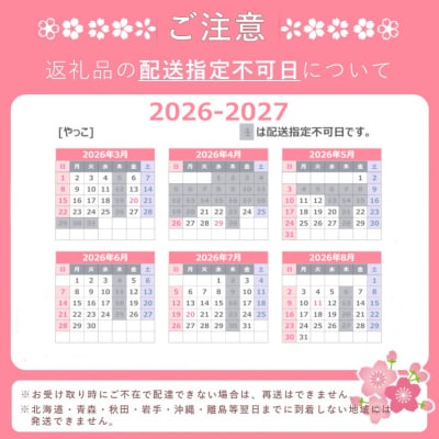 柿の葉寿司20個入り(鮭10・鯖10)