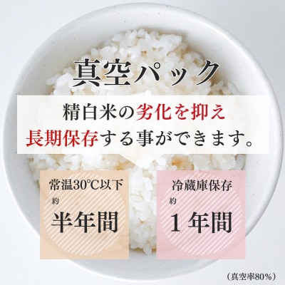 真空パック無洗米ひのひかり300g×10袋