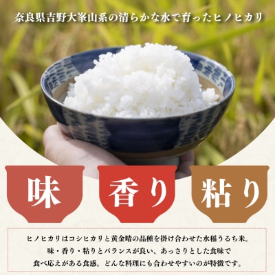 真空パック無洗米ひのひかり300g×10袋