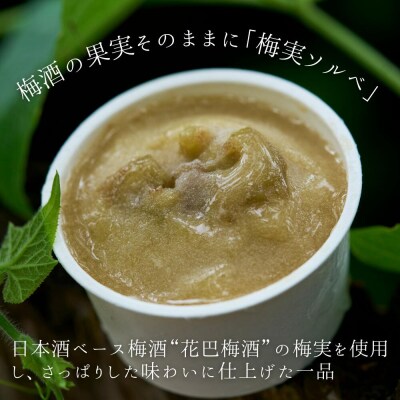 酒蔵アイスセット(酒粕アイス・梅実ソルベ)各3個　計6個