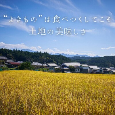 酒蔵アイスセット(酒粕アイス・梅実ソルベ)各3個　計6個