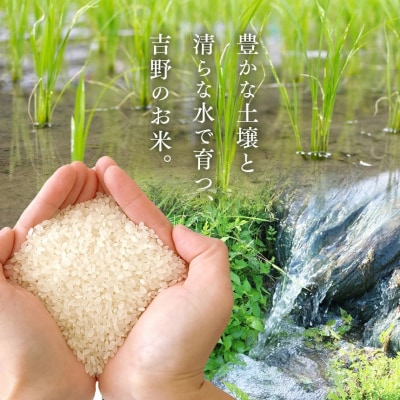 無洗米大和銘米ひのひかり5kg