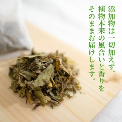 神然流 桧 ボディソープ(2本)&入浴用ハーブ(3包入り)セット 