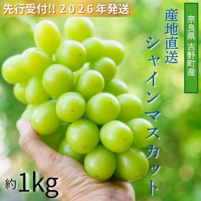 【令和8年分 先行受付】シャインマスカット 約1kg